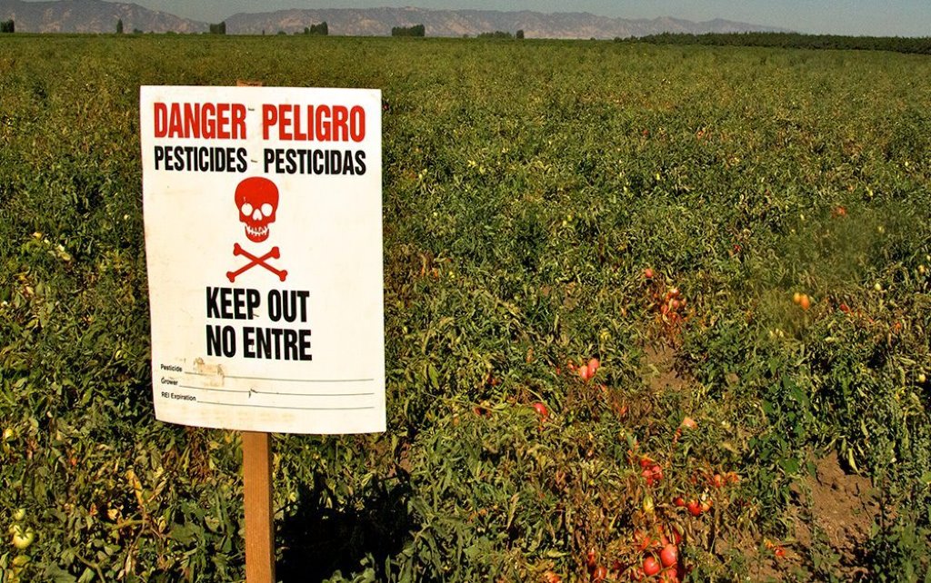 Chemicals Used in Pesticides That Kill Humans