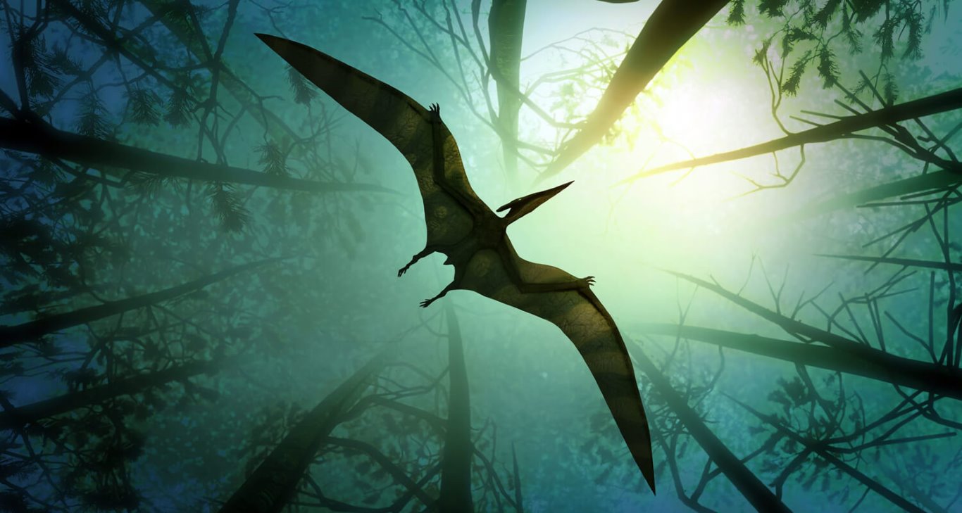 Prehistoric Animals That Ruled the Skies